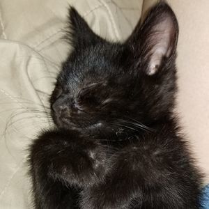 Meet your Posher, Kimberly